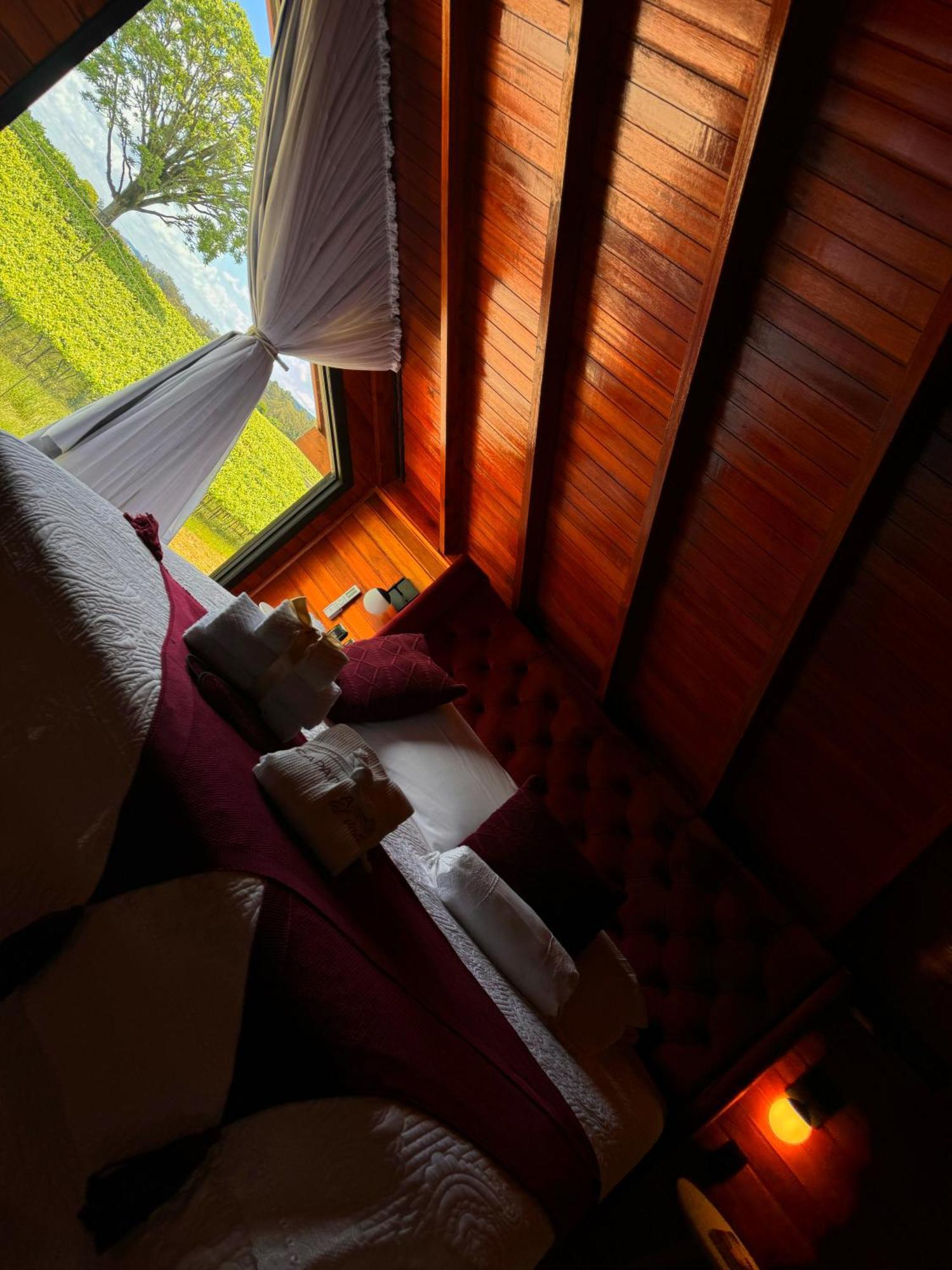 Capanna Del Vale - Um Refugio No Vale Dos Vinhedos Com Experiencia Exclusiva De Degustacao Na Vinicola Dom Candido Bento Gonçalves Exteriör bild